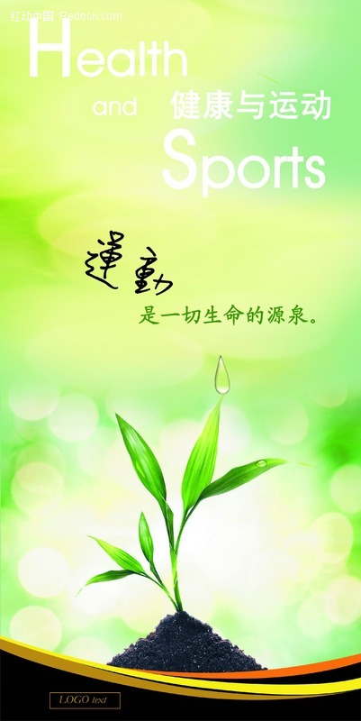 健康与运动 健康与运动