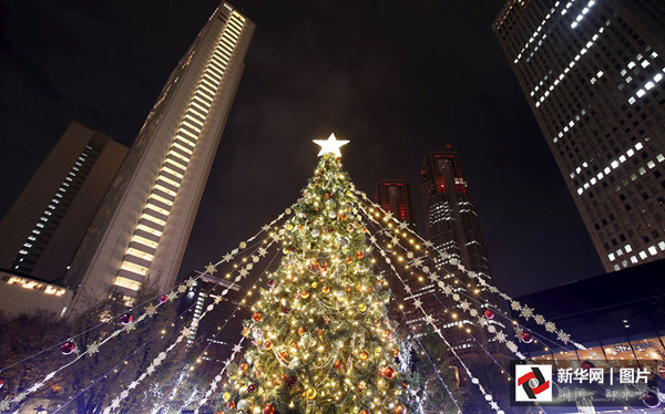 圣诞树5 圣诞树5