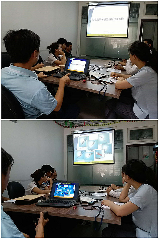 氧化锆氧传感器 氧化锆氧传感器